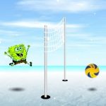 Funny Volleyball Flash