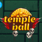 Temple Ball Challenge